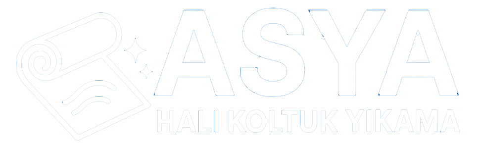 Denizli Asya Halı Yıkama